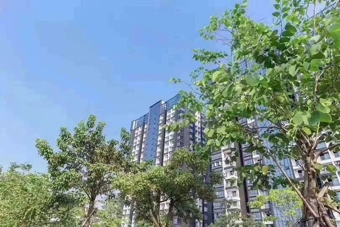 山水悦城 (11).jpg